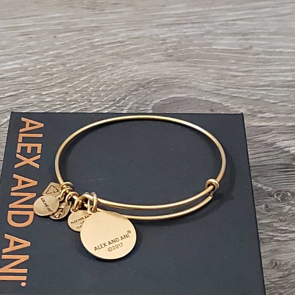Alex and Ani Completely Blessed Charm Bracelet Positive Faith Gratitude - Picture 8 of 10